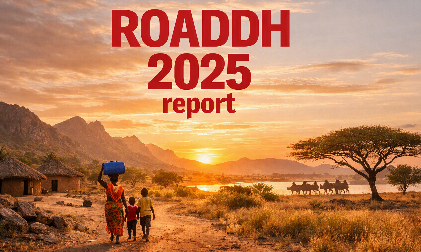 ROADDH 2025 Report